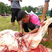Qurban Perdana MTT 2018 - 1439H (Album 1)