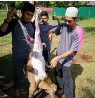 Qurban Perdana MTT 2018 - 1439H (Album 2)