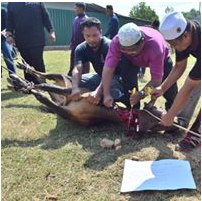 Qurban Perdana MTT 1440H (Album 1)