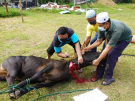 Qurban Perdana Norma Baharu 2021 (Album 1)