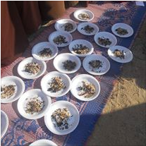 Hari Guru MTT 2014 (Album 1)