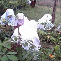 Interaksi Dengan Alam