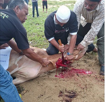 Aidiladha 2014 (Raya Kedua)