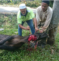 Aidiladha 2014 (Raya Ketiga)